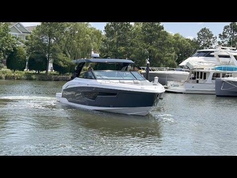 IIQ - Video